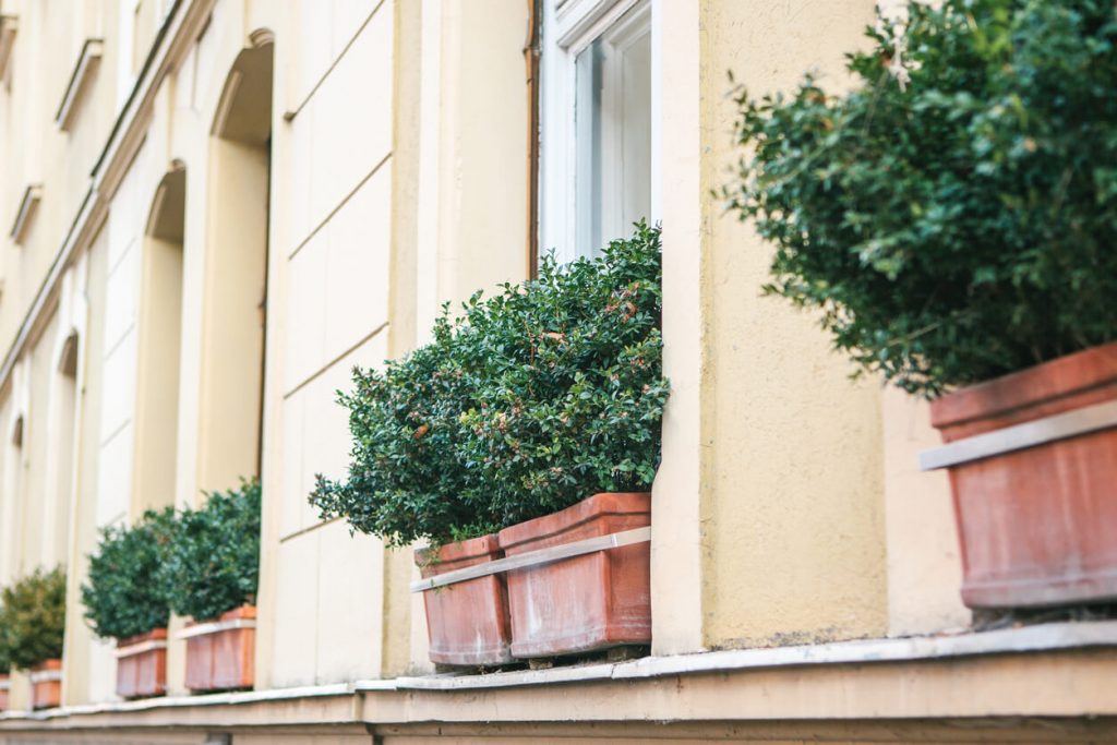 Fenstergesims