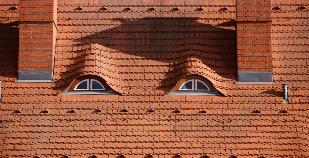 Fledermausgaube auf einem Dach