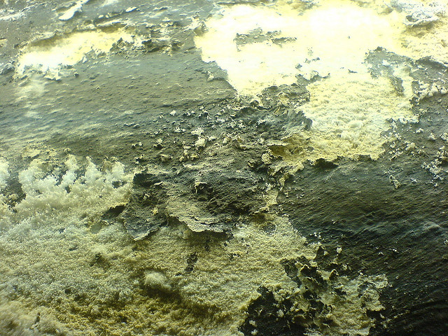 Nahaufnahme einer rauen, strukturierten Oberfläche mit cremefarbenen und dunklen Bereichen. Die Textur wirkt unregelmäßig und erinnert an geologische oder natürliche Formationen.