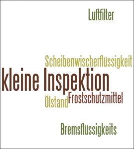 kleine Inspektion