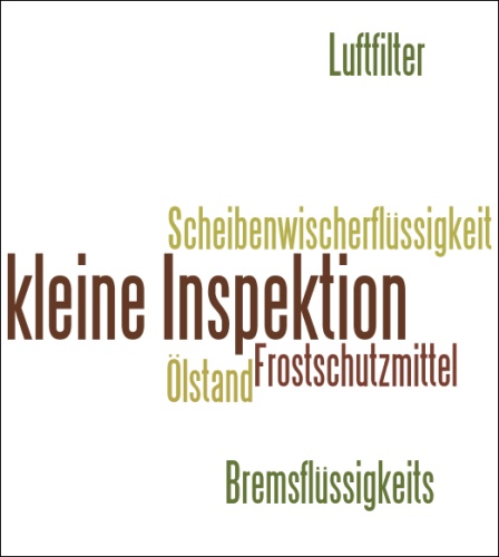 kleine Inspektion