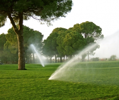 Garten Bewasserungssysteme Ihre Planungshilfe