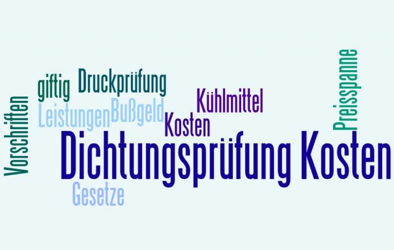Dichtungsprüfung Kosten