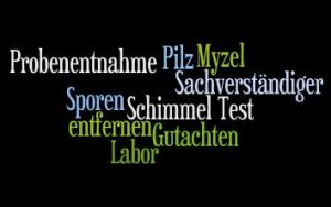 Schimmel Test