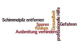 Schimmelpilz entfernen