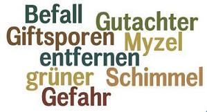 grüner Schimmel