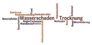 Wasserschaden Trocknung