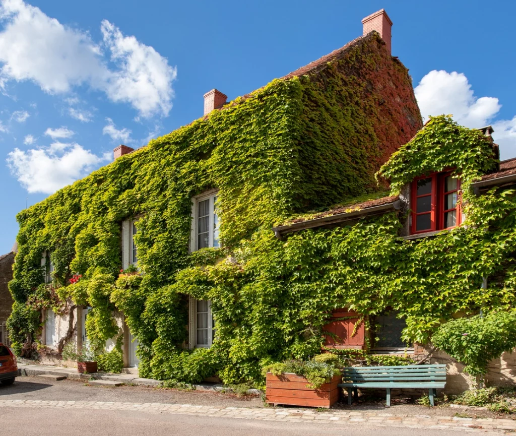 Begrünte Fassade eines Hauses