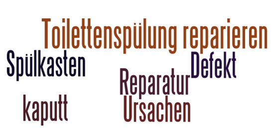 Toilettenspülung reparieren