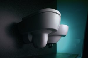 WC verstopft