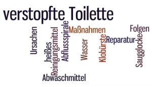 verstopfte Toilette