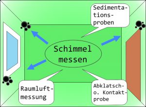 Schimmel messen