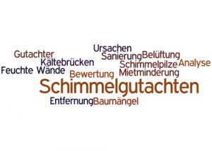 Schimmelgutachten