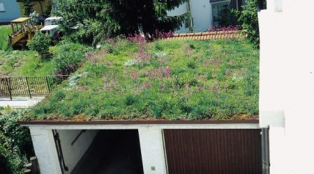 Flachdach einer Garage mit extensiver Dachbegrünung, bewachsen mit Wildblumen und Gräsern.