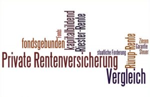 Wortwolke mit Begriffen zur privaten Altersvorsorge: „Private Rentenversicherung“, „fondsgebunden“, „Riester-Rente“, „Rürup-Rente“, „Vergleich“, „Kapitalbildend“, „staatliche Förderung“, „Zinsen“ und „Garantie“.