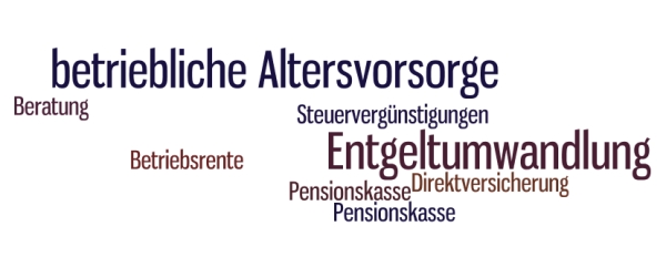 betriebliche Altersvorsorge Entgeltumwandlung