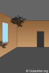Innenraum mit beigem Anstrich. Oben links an der Wand und über dem Fenster sind schwarze Schimmelflecken sichtbar. Rechts im Raum befindet sich eine Tür ohne Details. Der Boden ist grau, und die Wände sind glatt.
