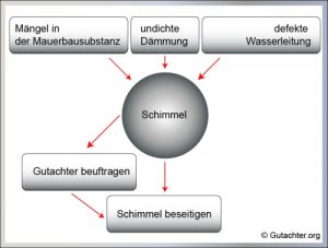 Schimmel-beseitigen