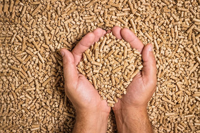 Zwei Hände halten Holzpellets