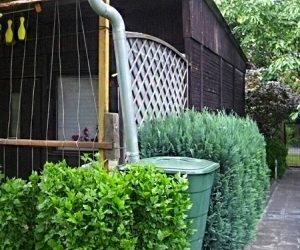 Dachrinne mit Fallrohr leitet Regenwasser in eine grüne Regentonne neben einem Gartenhaus.