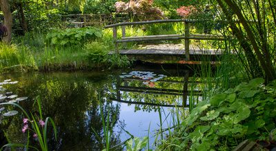 Eine hölzerne Brücke überspannt einen kleinen Teich in einem üppig grünen Garten. Das Wasser reflektiert die umgebende Vegetation. Auf dem Teich schwimmen Seerosen. Bäume und Sträucher umrahmen die friedliche Szenerie.