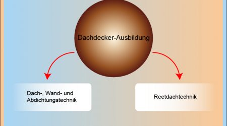 Infografik zur Dachdecker-Ausbildung mit zentralem Kreis, der die Ausbildung darstellt. Zwei Pfeile zeigen auf die Spezialisierungen „Dach-, Wand- und Abdichtungstechnik“ sowie „Reetdachtechnik“.