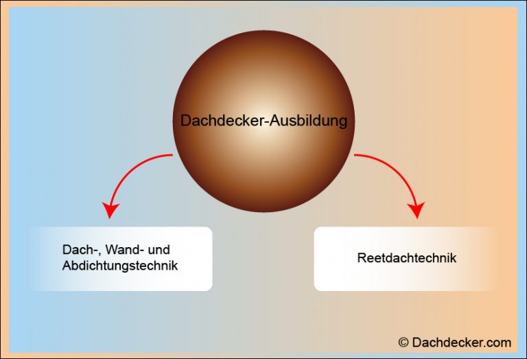Infografik zur Dachdecker-Ausbildung mit zentralem Kreis, der die Ausbildung darstellt. Zwei Pfeile zeigen auf die Spezialisierungen „Dach-, Wand- und Abdichtungstechnik“ sowie „Reetdachtechnik“.