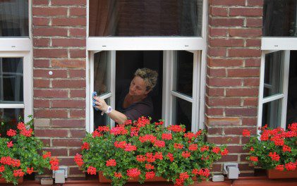 Fensterputzen-Fenstersauger