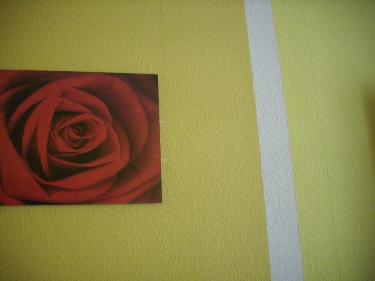Ein rotes Rosenbild hängt an einer gelb gestrichenen Wand. Neben dem Bild verläuft ein breiter weißer Streifen vertikal die Wand hinunter.