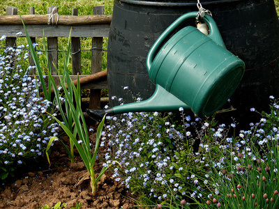 Praxistipps Fur Die Optimale Gartenbewasserung