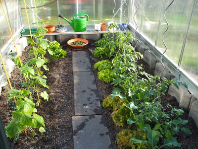 Wie Kann Das Gewachshaus Im Winter Genutzt Werden