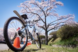 Der Sicherheitscheck beim Fahrrad