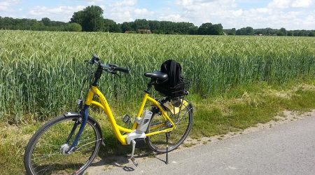 E-Bike Motorleistung