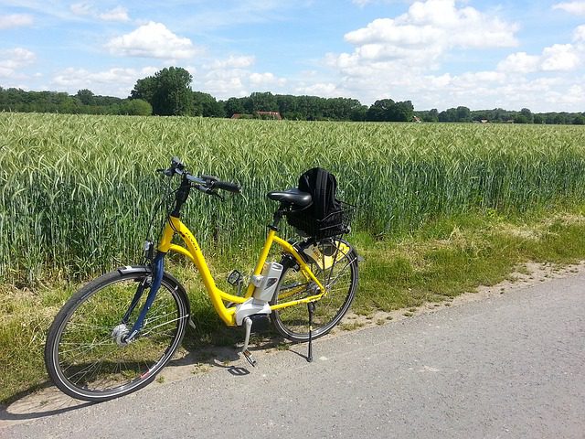 E-Bike Motorleistung