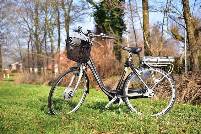 E-Bike winterfest