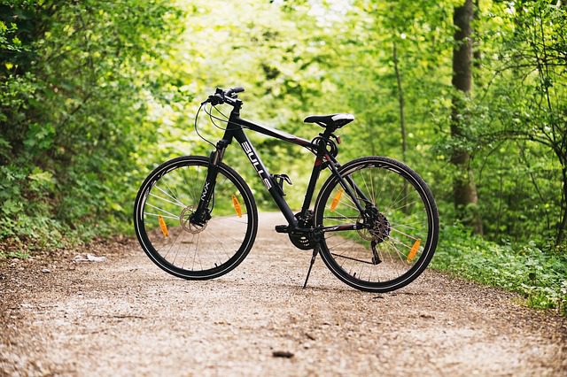 Den Fahrraddiebstahl melden