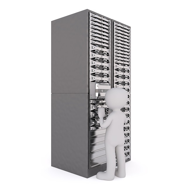 Eine 3D-Figur steht vor einem großen Server-Rack und hält ein Werkzeug, als ob sie daran arbeitet oder es überprüft. Der Hintergrund ist weiß.