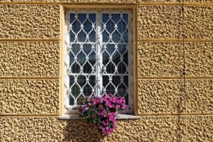 Fenster mit weißem Gitter auf einer strukturierten, beige-gelben Wand. Auf der Fensterbank blühen violette und rosa Blumen in einem Pflanzenbehälter. Das Licht und die Schatten betonen die rauhe Oberfläche der Wand.