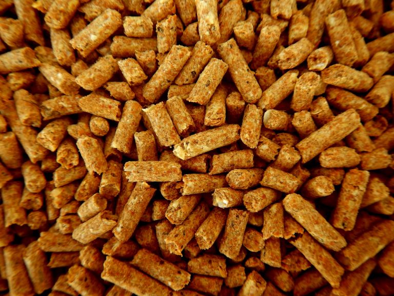 Holzpellets in Nahaufnahme, komprimiertes Biomassematerial zur Verwendung in Pelletheizungen.