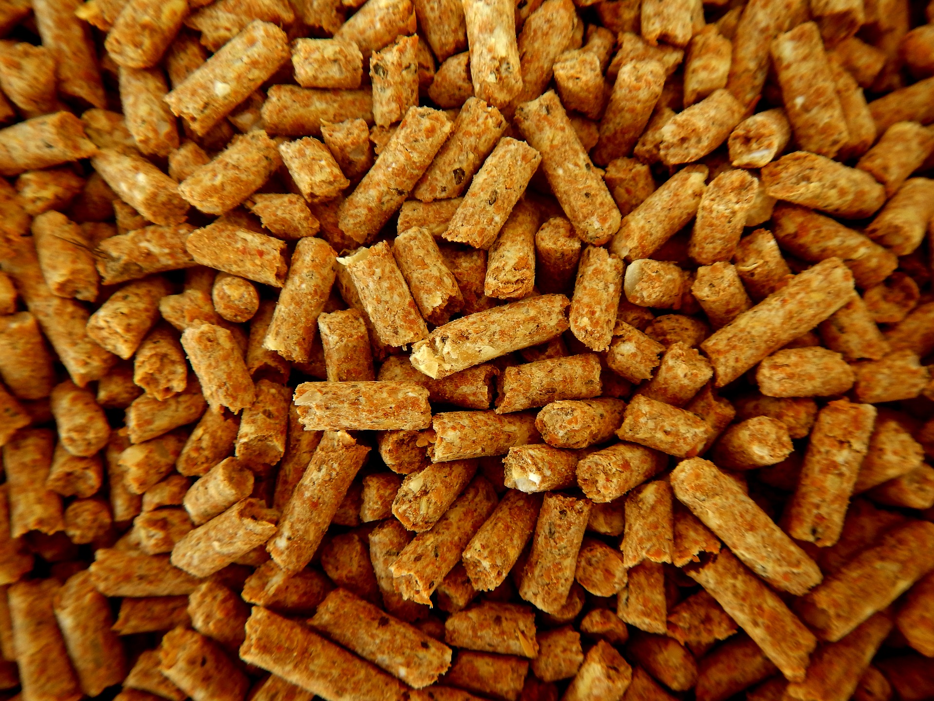 Holzpellets in Nahaufnahme, komprimiertes Biomassematerial zur Verwendung in Pelletheizungen.