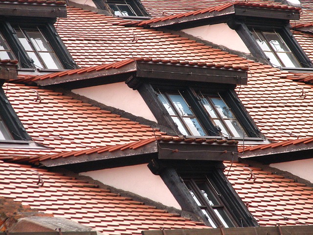 Dachfenster-Holz