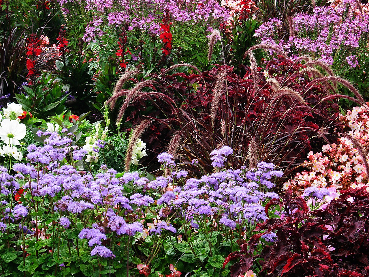Vielfältig bepflanztes Blumenbeet mit lila, rosa, roten und weißen Blüten sowie dekorativen Gräsern im sommerlichen Garten.