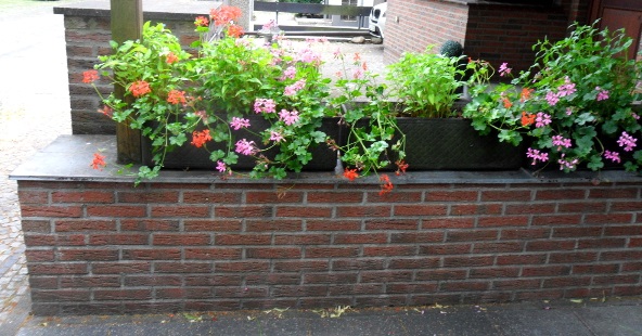 Gartenmauer aus Klinker mit Bepflanzung