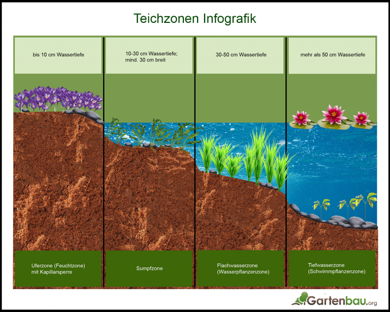 Betonteich anlegen Vorteile, Voraussetzungen, Durchführung