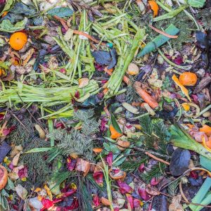 Ein Haufen von kompostierbaren Materialien wie Gemüseschalen, Obstschalen und Pflanzenresten. Verschiedene Farben und Texturen sind sichtbar, darunter grüne Blattstiele, orangene Fruchtschalen und bunte Blütenblätter.