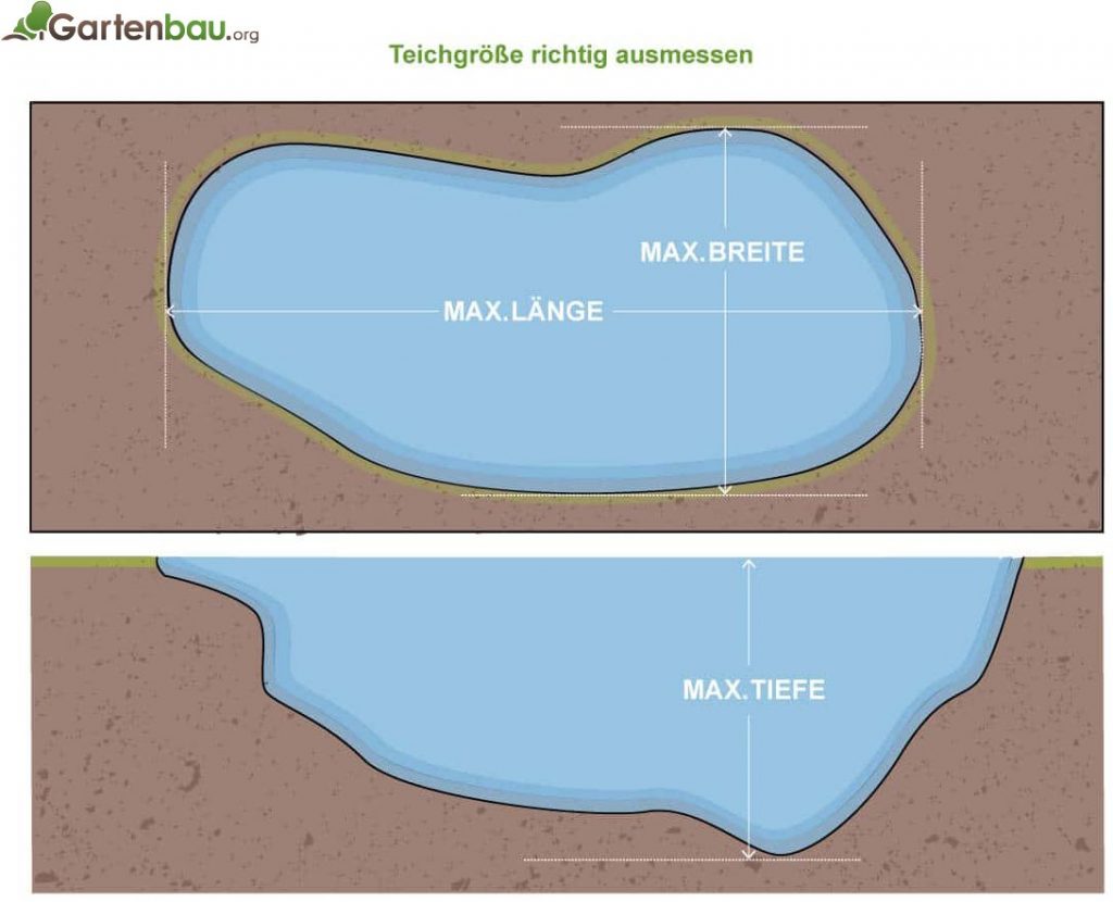 Teichfolienrechner » Teichfolie berechnen | Gartenbau.org