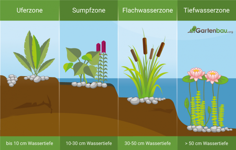 Betonteich anlegen » Vorteile, Planung & Durchführung