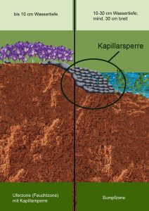 Betonteich anlegen » Vorteile, Planung & Durchführung