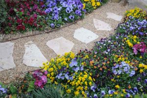 Gartenweg aus Natursteinplatten auf Kies, flankiert von üppig blühenden Stiefmütterchen in Gelb, Lila, Violett, Rot und Blau – Frühlingshafte Gartenszene.
