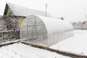 Gewächshaus im Winter mit Schnee bedeckt – idealer Einsatzort für einen Frostwächter zum Schutz vor Minustemperaturen.